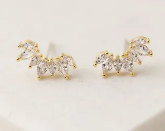 Clear Crown Climbers