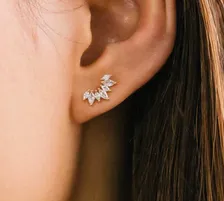 Clear Crown Climbers